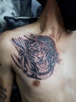 Tigre tattoo..Tiger tattoo...