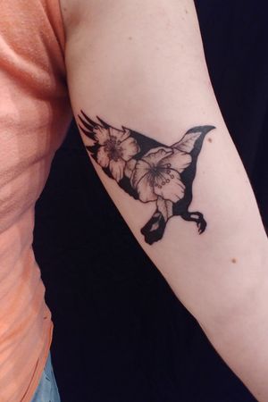 Corvid silhouette with cherry flowers.Done by Alexis Fish currently at Alexis Fish Tattoo Studio