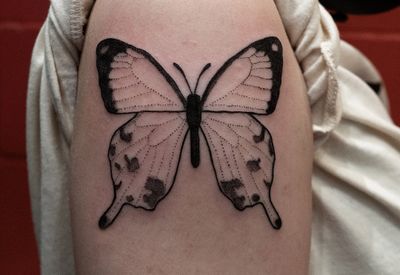 Butterfly 