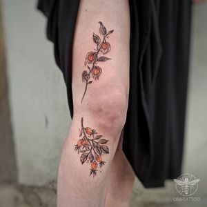 Small leg composition made of my two wanna-do designs - physalis and rosehips