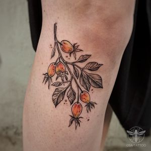 Rosehips with orange accents