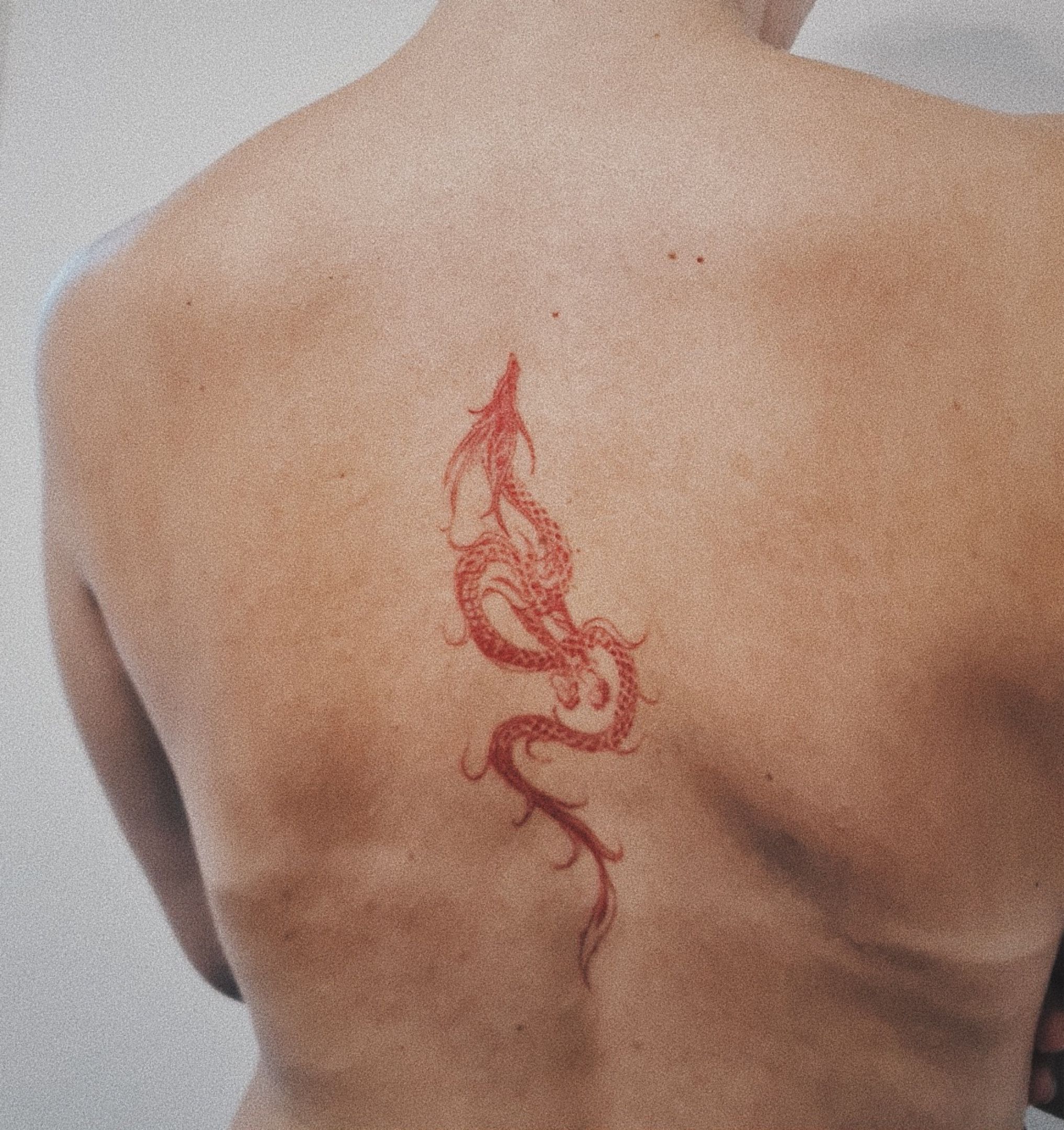 Top 30 Dragon Back Tattoos For Men  Lazy Penguins