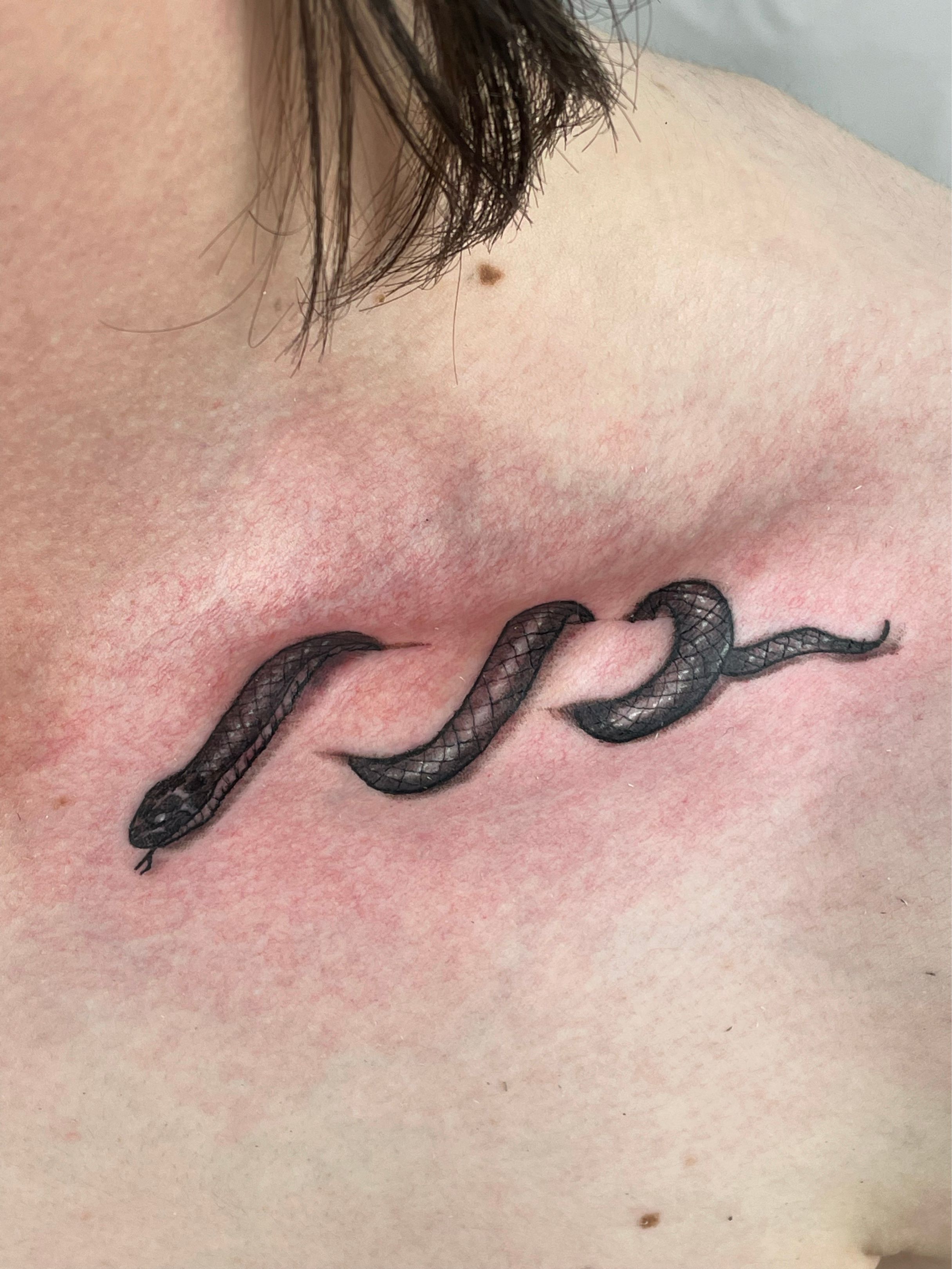 Snake collarbone tattoo  Collar bone tattoo Inspirational tattoos Tattoos