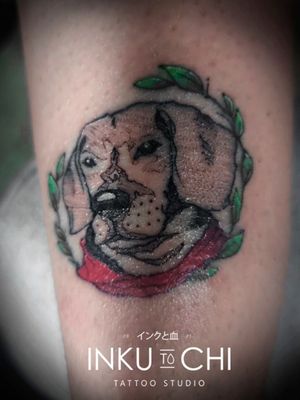 Retrato estilizado de una mascota de 5x5 cms!!! #inkutochi #tattoostudio #tattoos #tatuajes #santamartatattoo #animaltattoo #dogtattoo #smalltattoo