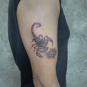 Sophie Rose Hunter's stunning black and gray tattoo featuring a scorpion and flower design on the upper arm.