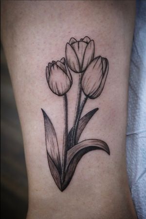 Tulips 💐 