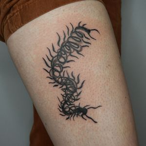 Finished this crawler! 
#inkytattoo #brushtattoo #gesturetattoo #abstracttattoo #insect #centipede