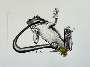 Frog eating a beetle 