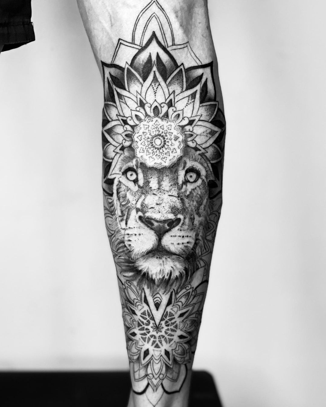 lion mandala' in Tattoos • Search in + Tattoos Now • Tattoodo