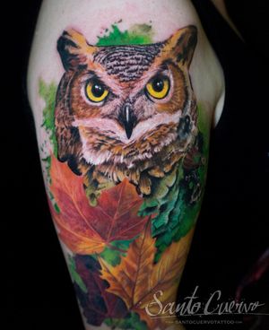 Capture the beauty of nature with this stunning upper arm tattoo featuring a lifelike owl and delicate leaf in vibrant watercolor style, by Alex Santo.