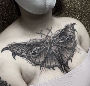 #moth #tattoo #blackwork