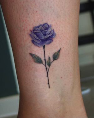 Purple Rose by @freyavstattoo