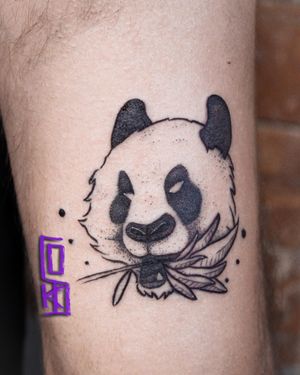 Panda comiendo bamboo