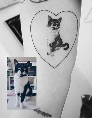#cattattoo #cat #catlover #photographytattoo #dotwork #dotworktattoo #tattooideas #minimalism #lineworktattoo #minimaltattoo #linework #blackboldsociety #blxckink #oldlines #tattoosandflash #inkdgirls #inkedup 