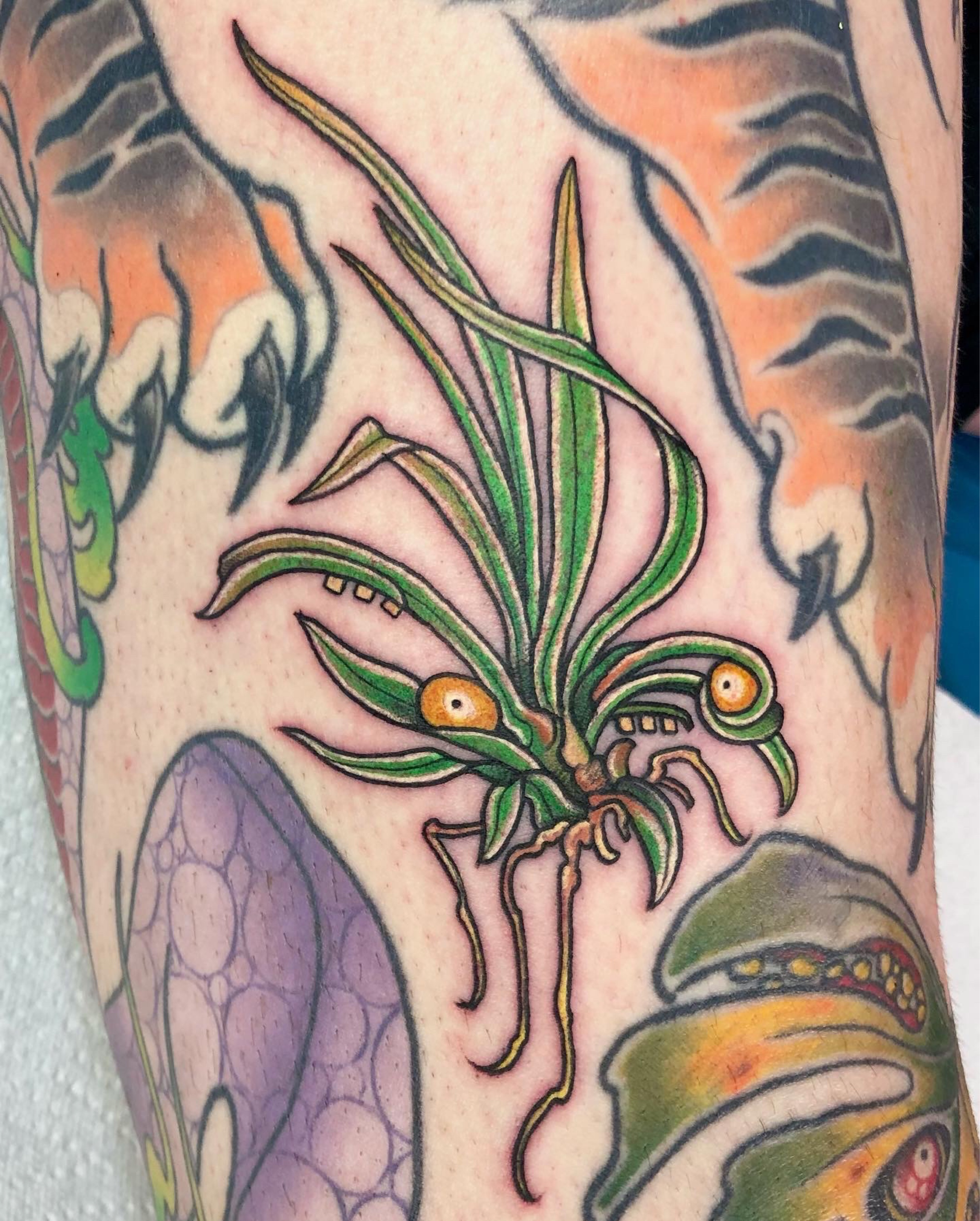 Lora Fritsche  Got to tattoo this spider plant for the  Facebook