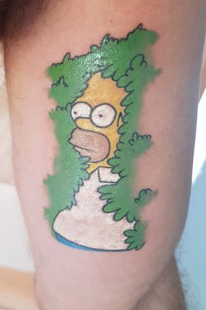 Homer Simpson in the bush Homero