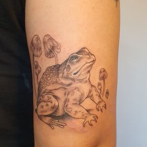 Fall vibes babey...#toad #frog #mushrooms #pencilstyle #qttr #queertattoer #animal #fall #autumn #cottagecore