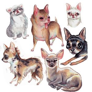 Homunculi...#petportrait #chihuahua #dog #cute #funny #cartoon #animal #pet #puppy #color