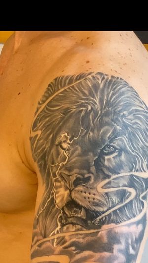 Lion cover up. 