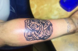 Cover up money rose 