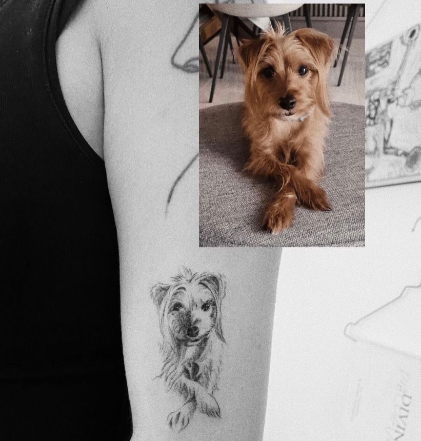 125 Best Dog Tattoo Ideas and Its Symbolic Meanings  Wild Tattoo Art