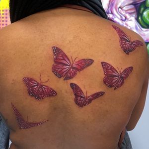 A Red Kaleidoscope of butterflies 