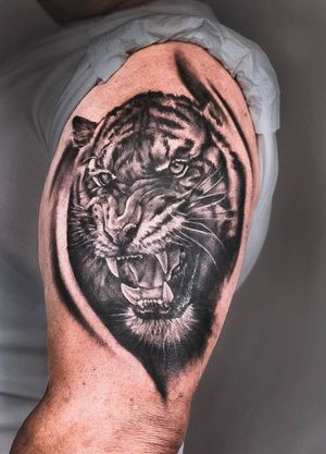 Tiger #kristina_tattoo