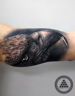 eagle tattoo 