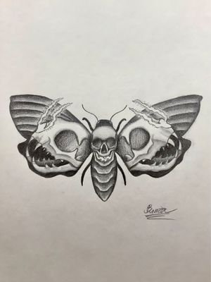 Death’s head moth with cat skulls!🔥