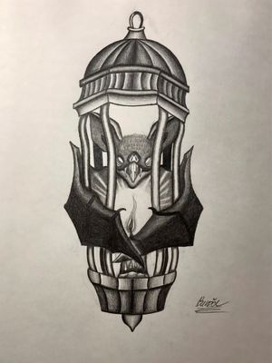 Bat in a lantern 🦇