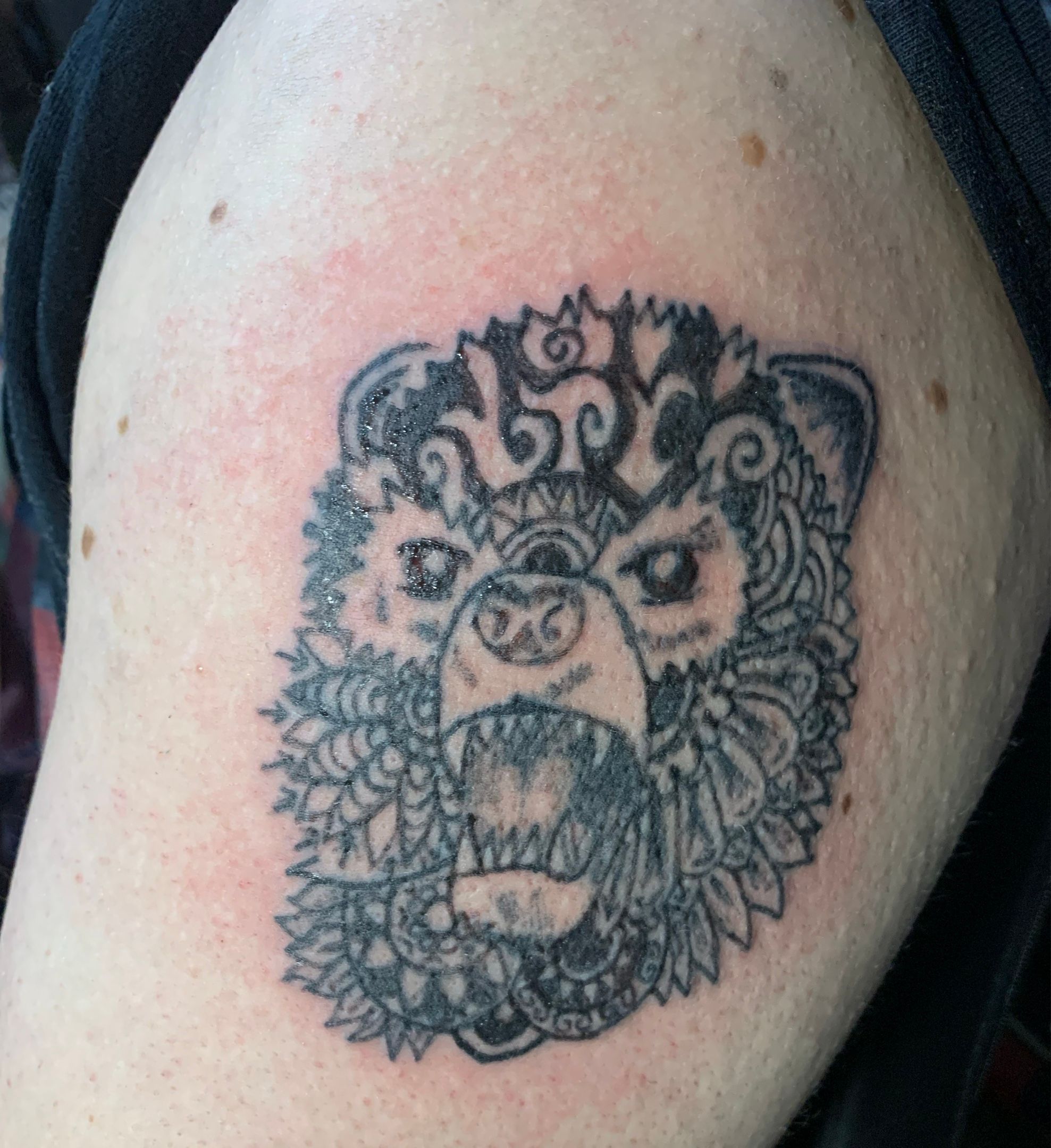Pin by Toby Urban on Cricut ideas  Bear tattoos Bear tattoo designs Wild  tattoo