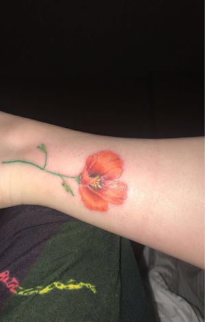 Drunk Vegas moment turned out beautiful- California Poppy 🧡