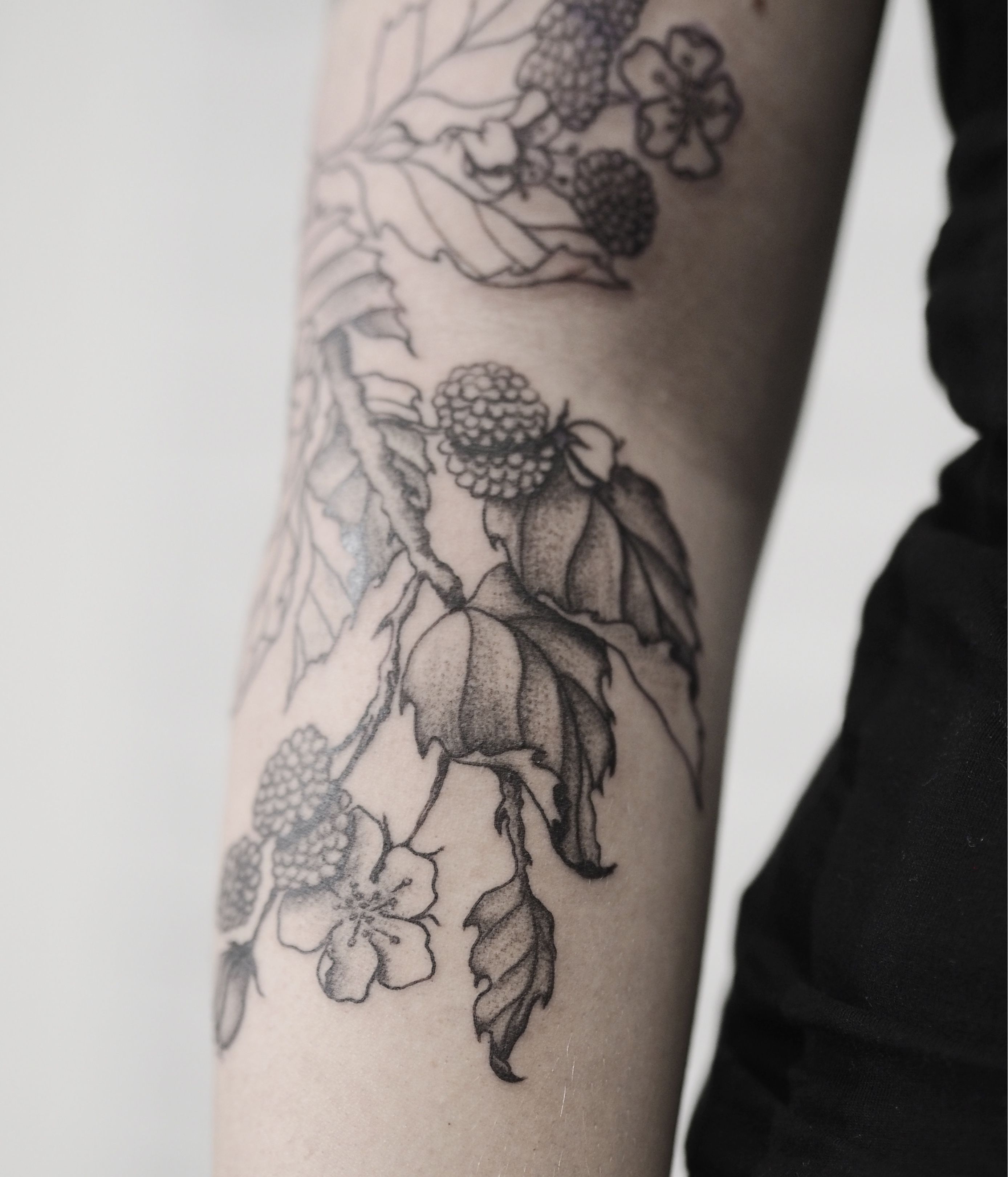 Tattoo uploaded by KTREW Tattoo  Botanical Brambles Blackberries Tattoo by  Kirstie Trew  KTREW Tattoo studio  Birmingham UK  botanicaltattoo  bramblestattoo blackberriestattoo blackworktattoo tattoo  Tattoodo