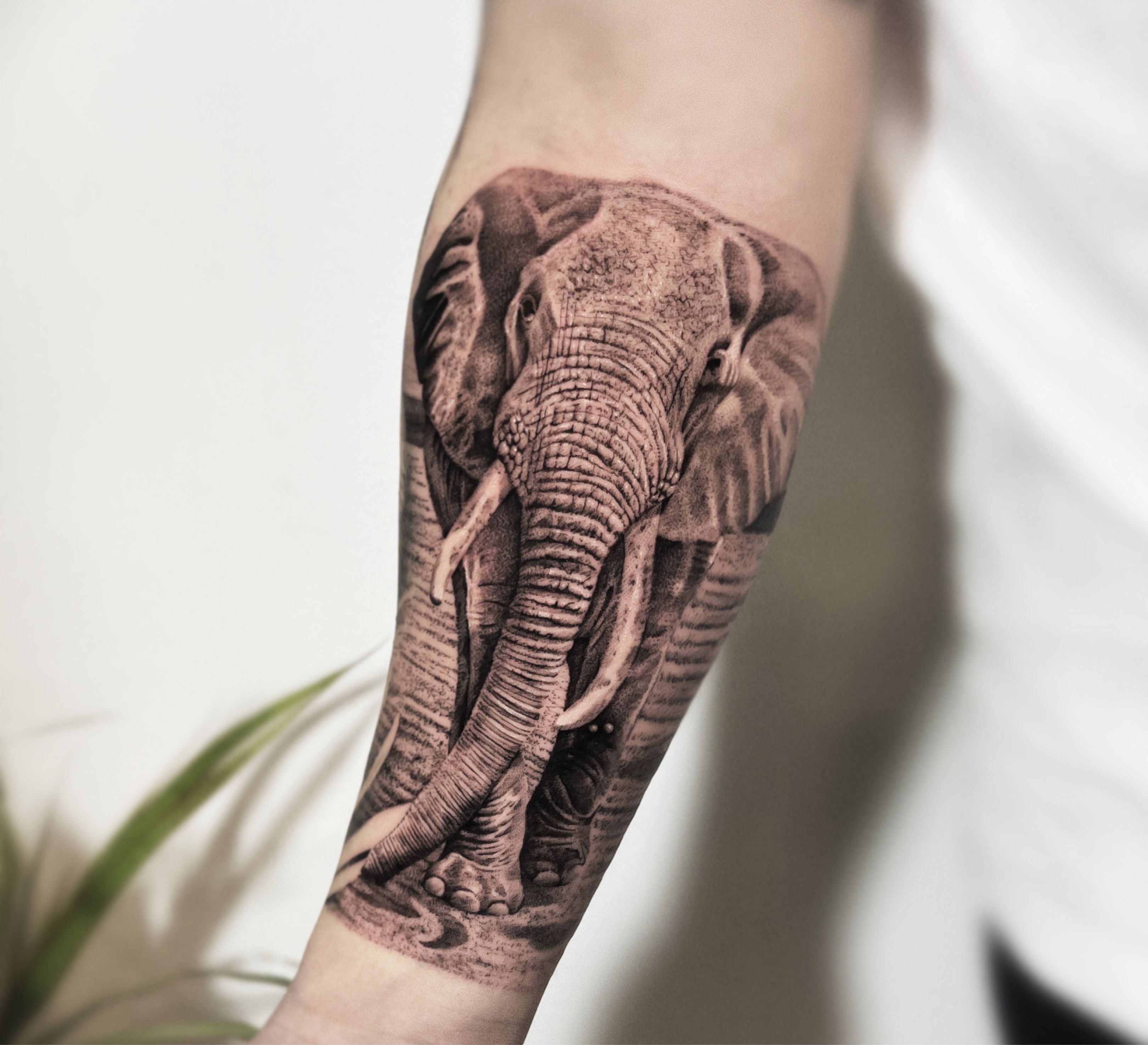 Be brave and Be Happy with Tiger and Elephant Quotes Tattoo Men and Body  Tattoo