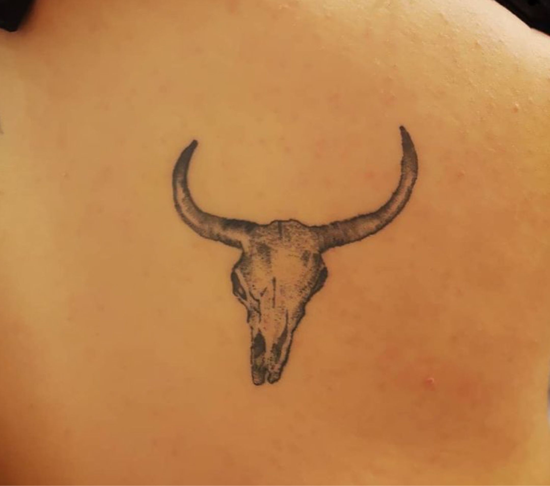 23,018 Bull Head Tattoo Royalty-Free Images, Stock Photos & Pictures |  Shutterstock