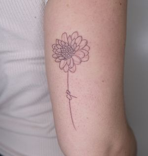 Chrysanthemum 🤍#chrysanthemum #tattoonyc