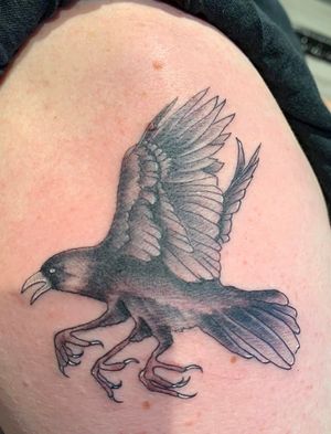 The crow from Amenra