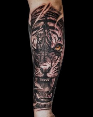 Get a stunning black and gray tiger tattoo on your forearm in London, combining artistry and realism!