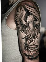 Inspiration for Phoenix tattoo 