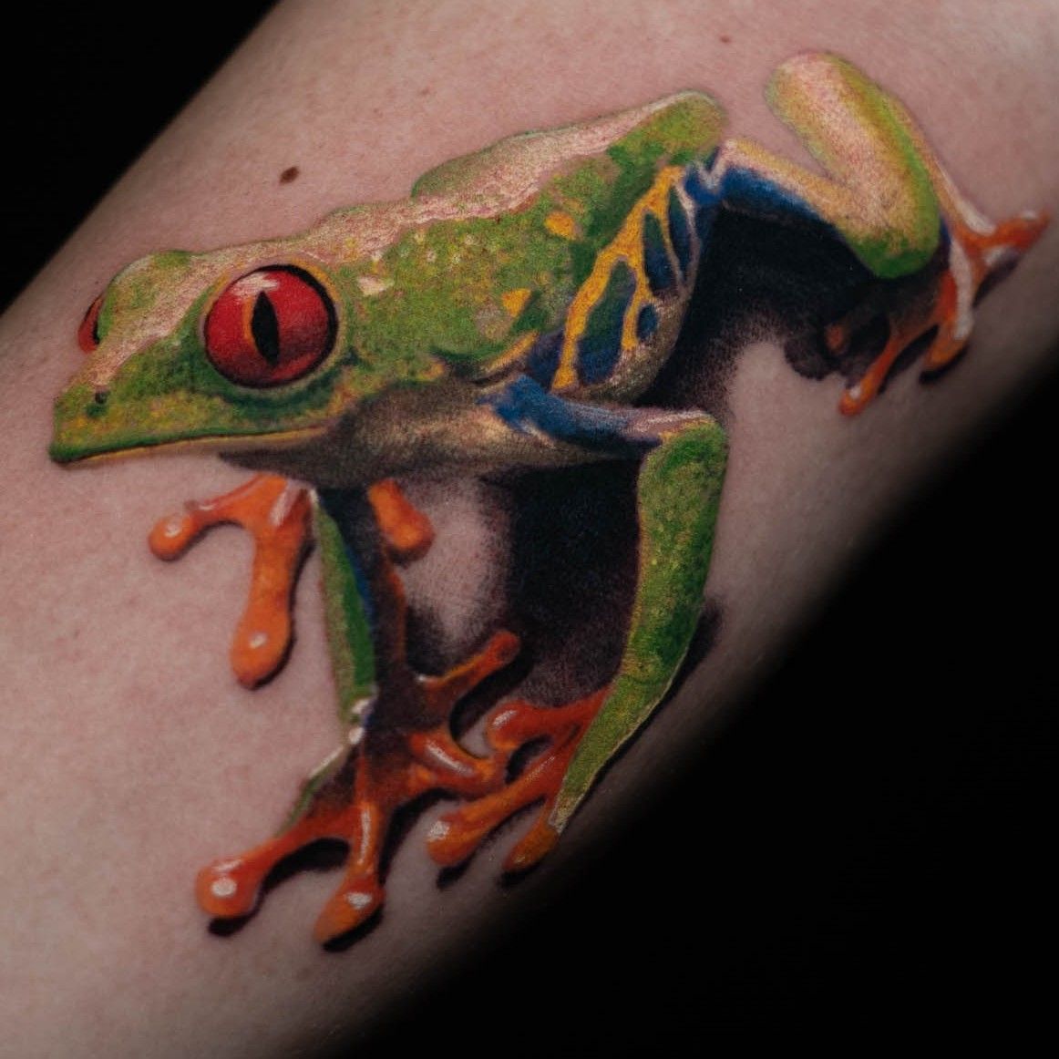 williamtattoos on Twitter Little redeyed tree frog I done a few weeks  ago tattoo tattoos colourtattoos like follow httpstcolDrotulnZ8   Twitter