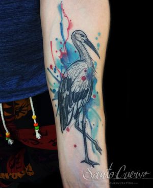 Beautiful forearm tattoo featuring a watercolor heron and crane in sketchwork style by artist Aygul.