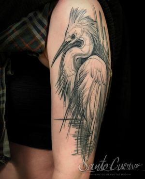 Adorn your arm with Aygul's exquisite fine line bird tattoo featuring a graceful heron in sketchwork style.