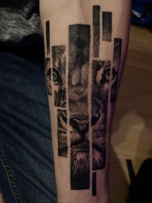 Lion tatto 