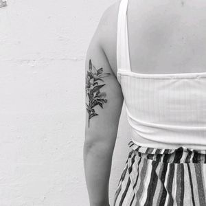 #flowers #floral #floraltattoo #botanicaltattoo #botanical #inked #soft #finelinetattoos #femaletattooartist #tattooideas #tattooprocess #howtotattoo #floralstories #switzerland #swisstattoos #tattooinspo #tattooinspiration #delicatetattoo