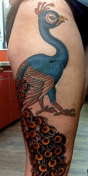 109 Best Peacock Feather Tattoos [2024 Inspiration Guide] | Peacock feather  tattoo, Feather tattoos, Feather tattoo design