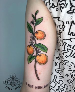 Orange Branch Illustrative Colour Tattoo by Kirstie at KTREW Tattoo - Birmingham UK #orangebranch #oranges #tattoo #illustrative #upperarm #colourtattoo