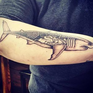Shark Anatomy Tattoo