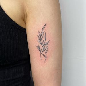 Exquisite upper arm tattoo by Chris Harvey featuring a delicate sprig and leaf design in fine line illustrative style.