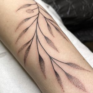 Elegant forearm tattoo by Chris Harvey featuring a delicate sprig design with precise dotwork and fine line details.