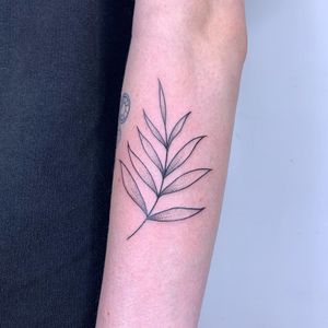 Exquisite forearm tattoo of a detailed leaf in dotwork and fine line style by artist Chris Harvey. An illustrative masterpiece.